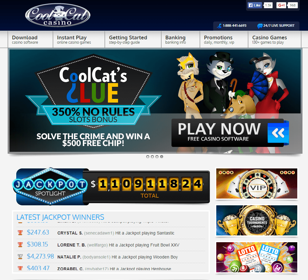 Coolcat Online Casino